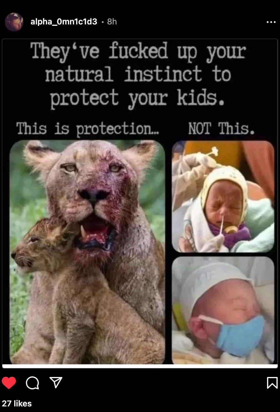 Instagram post criticizing loss of natural parental protection instincts. Text reads: They've fucked up your natural instinct to protect your kids. This is protection... NOT This. Comparison shows lioness with cub representing natural protection versus masked newborn babies representing compliance - commentary on COVID-19 pandemic mask mandates for children